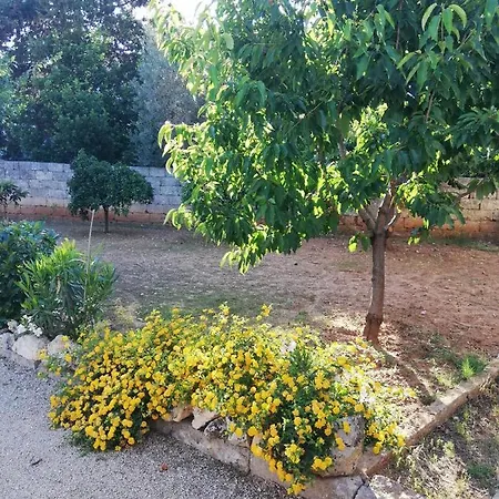 Il Giardino Di Mela Collemeto